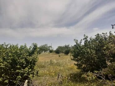 xacmazda torpaq satilir: 12 sot, Mülkiyyətçi, Kupça (Çıxarış) — 1
