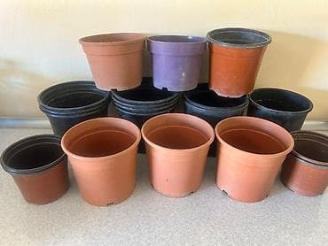 liliya gul: Qırmızı plastik güldan dəsti - 2 ədəd dairəvi plastik güldan - Rəng — 3