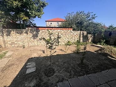 savalan torpag: 4 sot, Tikinti — 5