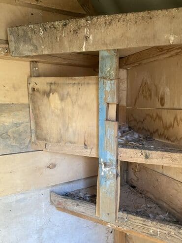 клетка для попугаев: Taxtadan hazırlanmış göyərçin yuvası, dam örtüyü ilə təchiz — 5