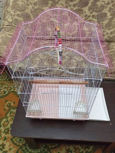 Heyvanlar üçün mallar: Salam. Tep teze iri kletka satiram. Curuyu,eziyi pasi yoxdur — 7