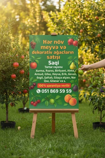 qapılar və qiymətləri: Meyvə və dekorativ ağac tingləri Təsvir: - Tərtər rayonu ərazisində — 2