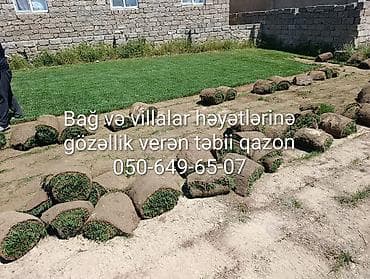 termo aqlay ustasi: Xidmət: Bağ və villa həyətlərinin yaşıllaşdırılması üçün təbii rulon — 1