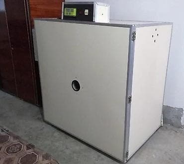 inkubator satisi: Son model rəqəmsal tam avtomat.
inkubator sifarişi — 3