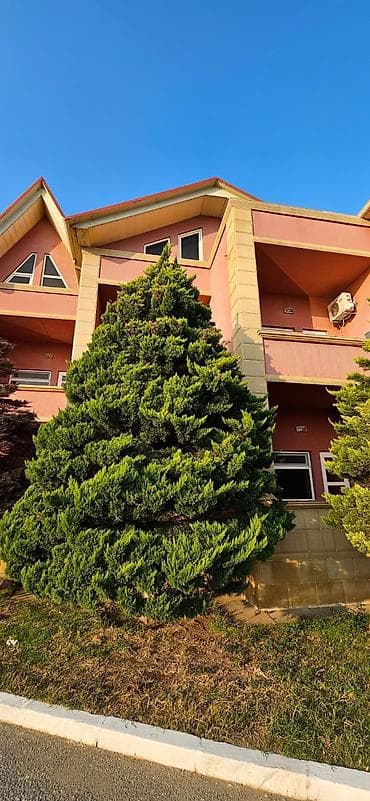 gence evler kiraye: Salyan şosse 14 km — 2