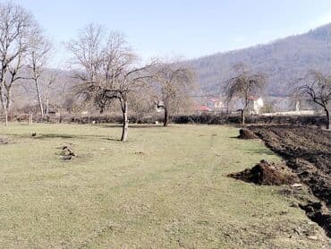 kirayə evlər gəncə 2023: 64 sot, Tikinti, Mülkiyyətçi, Bələdiyyə — 5