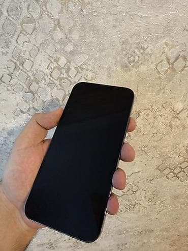 IPhone 13 Pro Max, 256 GB, Graphite, Face ID