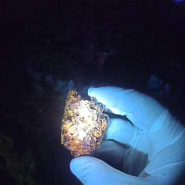 ucuz gitara satisi: UV Parlayan Təbii Daş Satılır – Kolleksiya üçün Nadir Kristal 💎 — 9