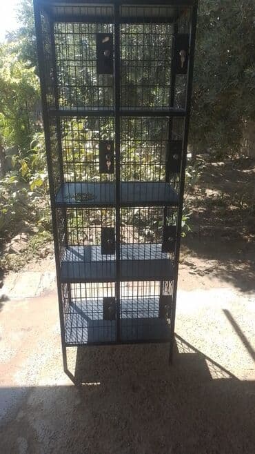 xonçaların satışı: Satilir — 1