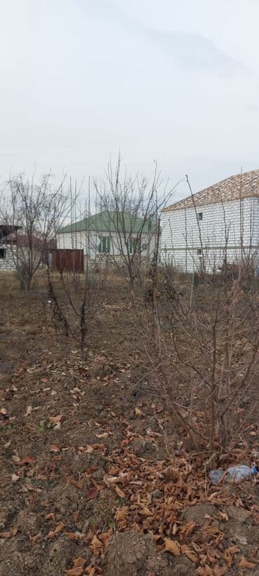 qazaxda torpaq satilir: 8 sot, Tikinti, Mülkiyyətçi, Kupça (Çıxarış) — 3