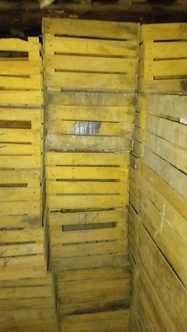 Taxta yeşik/qutu 400 500 ededdi tecili satilir - Material: təbii — 5
