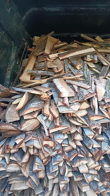 Саженцы растений: Quru odun çipləri – soba, kamin və manqal üçün 1 qazeli - — 4