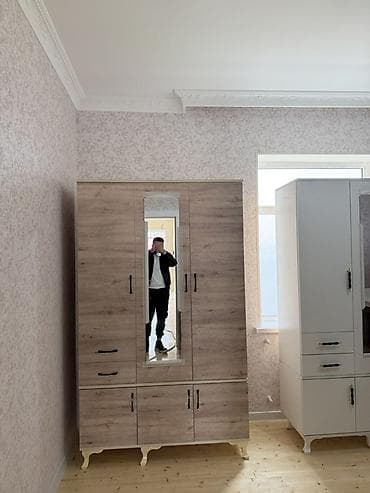 elle cekilen sekiller: 2 qapılı, Güzgülü, Ağ, Digər material, Açılan, Düz dolab — 4