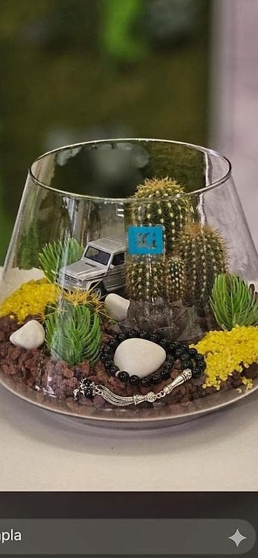 Горшки для растений: Şüşə akvarium formalı terrarium kompozisiyaları - Şəffaf şüşə qabda — 4