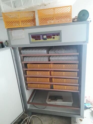 dərman ciləyən aparat: 1100 yumurta, Fabrik istehsalı, Tam avtomat, Bütün növ quşlaq üçün — 2