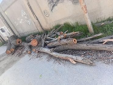 Odun – kəsilmiş ağac gövdələri və budaqlar - Müxtəlif uzunluqda iri