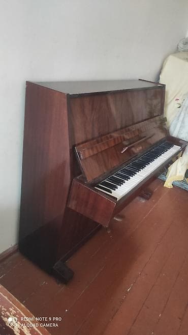 Qarmonlar: Piano, Akustik — 3