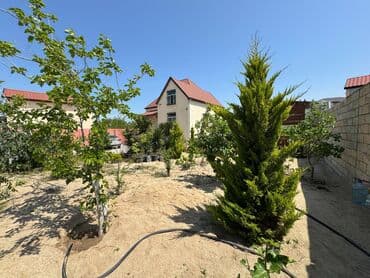 7 mikrorayonda kiraye evler: 800 kv. m, 3 otaqlı, Qaz — 23