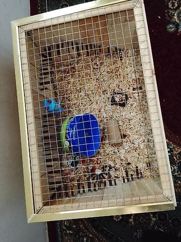 Yemlər: Taxta hamster qəfəsi - Material: qalın taxta karkas, üst hissə metal — 2