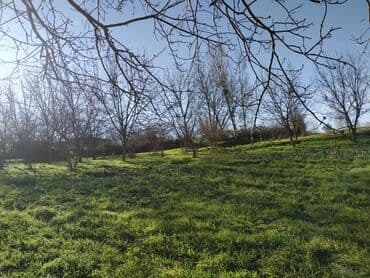 kirayə evlər 2025 sumqayıt: 100 sot, Biznes üçün, Mülkiyyətçi, Müqavilə — 3