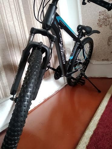 velosiped 29 luq: Yeni Şəhər velosipedi Strim, 29" — 1