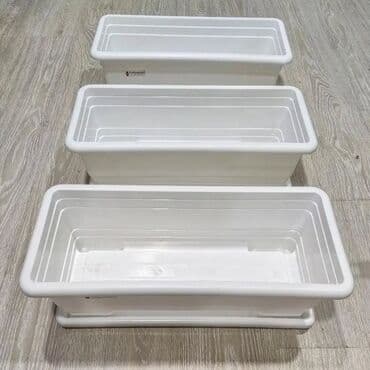 Digər bitkilər: Dibçək. Müxtəlif ölçü və modellər mövcuddur. Fərqli qiymətlərdədir — 20