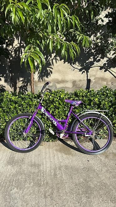wolf bicycle: Uşaq/yeniyetmə velosipedi – bənövşəyi rəngdə “SALUTE” brendi — 1