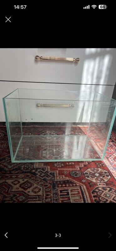 canlı yem: Dördbucaq akvarium, Boş, 34 l, Ödənişli çatdırılma, Ünvandan götürmə — 1