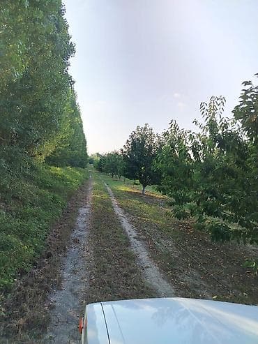 взять кафе в аренду: 180 соток Для сельского хозяйства, Водопровод — 3