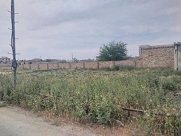 kupça: 10 sot, Makler, Kupça (Çıxarış), Texniki pasport — 4