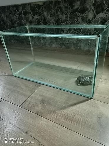 tap az akvarium: Şüşə akvarium tispaqa ilə birlikdə 20 manat. lazimdirsa zəng — 3