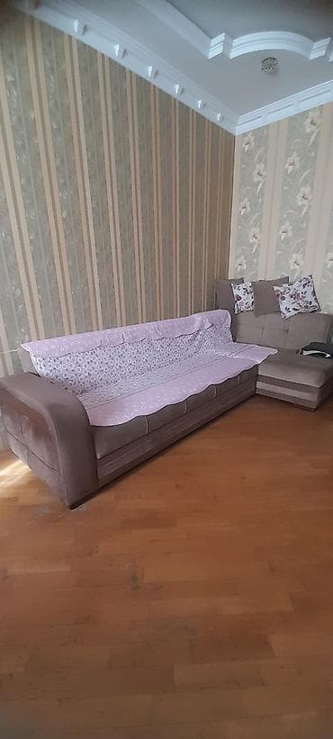 er riyad mebel evi: Klassik üslubda qonaq otağı dəsti - Şkaf-vitrin: Təmiz taxta — 2