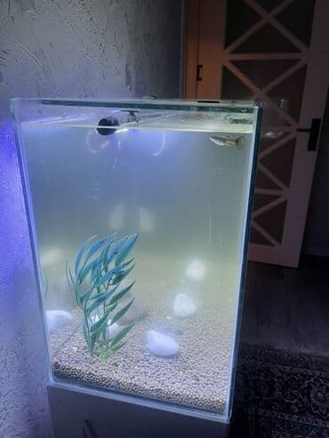 Грызуны: Прямоугольный аквариум, Пустой, 90 л, Платная доставка — 5