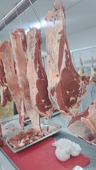 Ət məhsulları: Qoyun və mal ətinin bütöv karkas və müxtəlif kəsimləri Təklif olunan — 10