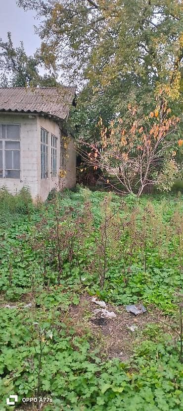 şaftali bagi: 19 sot, Kənd təsərrüfatı, Mülkiyyətçi, Kupça (Çıxarış) — 3