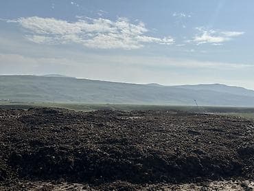 koz ve komur arasindaki ferq: Kənd təsərrüfatı üçün təbii üzvi gübrə – iri həcmli partiyalar - — 2