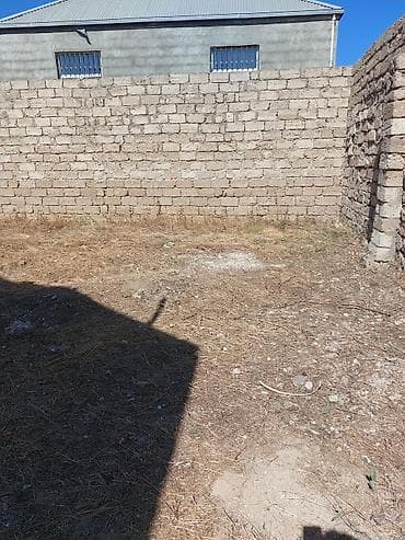 bine sovxoz evler: 2 sot, Tikinti, Mülkiyyətçi, Bələdiyyə — 3