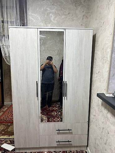 asilqan: 3 qapılı, Güzgülü, Boz, Açılan, Düz dolab — 2