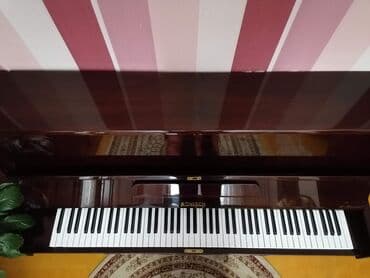 rönisch piano: Пианино, Rönisch, Акустический, Б/у, Самовывоз — 4