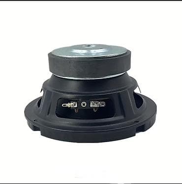 Audio: W210 arxa polkası üçün 2 ədəd woofer (basovik). yenidir. heç bir cızıq — 2
