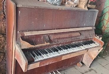 canta sumqayıt: 1956. Ci io piyanenen probpm yoxdur islektir. Nem cekmyb. Koklenmldr — 3
