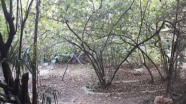 avto karavan: 3 sot, Tikinti, Bələdiyyə — 6