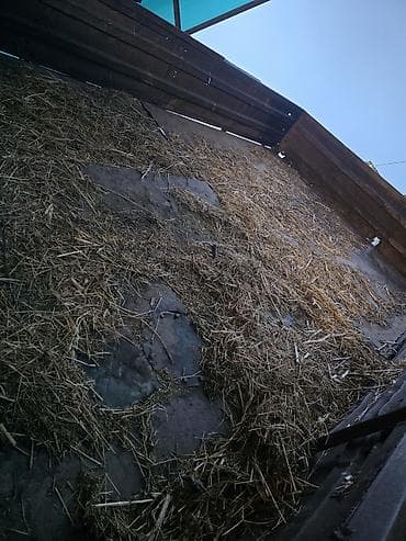 витринный холодильник цена: Kənd təsərrüfatı texnikası paketi Traktor:saz vəziyyətdədi.qabağ tam — 7