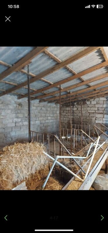 xaşa xuna: Qala qəs. 3 otaqlı, 550 kv. m, Kredit yoxdur, Orta təmir — 9