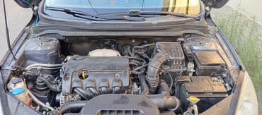 maşın satışı ucuz: Kia Ceed: 1.4 l | 2009 il Hetçbek — 8