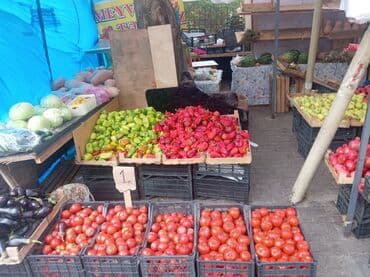 nar şəkli: Təzə meyvə-tərəvəz çeşidi - Nar: iri, sululuq və canlı qırmızı rəng - — 9