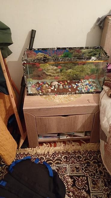 Akvaryum satılır.50 - Şüşə akvaryum, düzbucaqlı forma - Üst və kənar