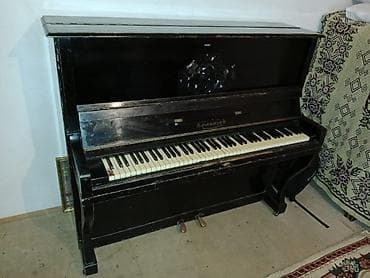 Qarmonlar: Piano, Belarus, Akustik — 3