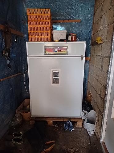 Yumurta inkubatoru – böyük həcmli, tam avtomatik idarəetmə paneli ilə