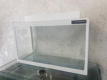 Dördbucaq akvarium, Boş, 15 l, Ünvandan götürmə, Ödənişli çatdırılma lalafo.az -da Dördbucaq akvarium, Boş, 15 l, Ünvandan götürmə, Ödənişli çatdırılma